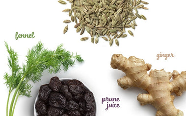 The Wisest Ingredients