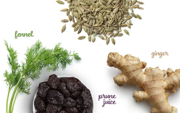 The Wisest Ingredients