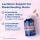 Mommy's Bliss Postnatal Lactation Support packaging shown with its main benefit claim